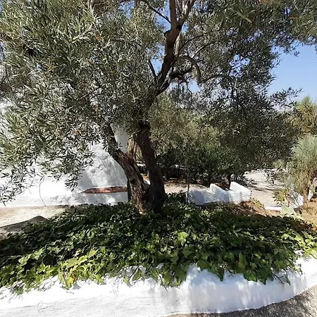 Cortijo Retama, Typical Andalusian Cottage, Romantic & Relax Villa By Eastern Costa Del Sol, In The Countryside Near Frigiliana Town, At 12 Kilometers From The Beach Holiday home *